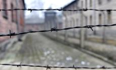 Giornata della memoria. Fermare l'odio in  rete
