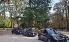 Ricercato da mesi, pusher  rintracciato dai carabinieri al parco Ducale: deve scontare oltre un anno di reclusione