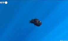 Avvistato in superficie il "Diavolo Nero" al largo di Tenerife