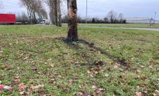 Furgone contro una pianta in via Mantova. A San Ruffino, auto contro un palo: un ferito 