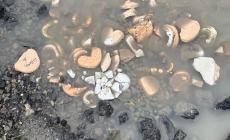 Incredibile ma vero: impronte in gesso (ma sembrano dentiere) buttate in strada - Foto