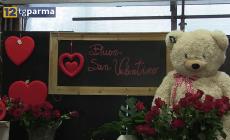Dalle rose ai dolci: tanti regali per San Valentino, la festa degli innamorati - Video