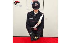 Ricercato da settimane, lo spacciatore "incallito" è stata ritrovato in via D'Azeglio. Con sé aveva di nuovo hashish
