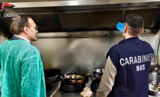 Sporcizia, alimenti scaduti e frigo arrugginito: sospesa l'attività di un ristorante etnico a Parma
