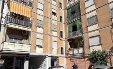 Bimba sbranata da un pitbull: "In casa pulite le tracce di sangue"