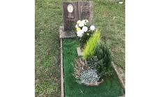Rubati dei fiori da una tomba del cimitero di Sivizzano