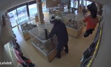 Rubano cuccioli di  bulldog da un negozio - Video