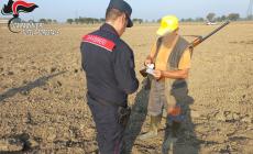 Caccia fuorilegge, controlli dei carabinieri forestali e multe
