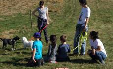 A Langhirano &laquo;Camminata a 6 zampe&raquo;: padroni e cani assieme nella natura