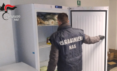 Sequestrati 100 kg di conserva di pomodoro in un ristorante della provincia di Parma