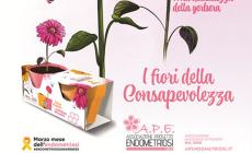 Cogli i "Fiori della Consapevolezza" a sostegno delle donne con endometriosi