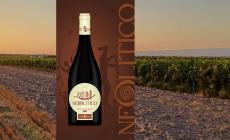 Un rosso complesso dalla buona struttura e dal sorso ampio