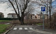 Strisce pedonali  senza senso in  zona via Paradigna