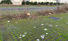 Fidenza, sporcizia in uno dei parcheggi del parco commerciale (Le foto)