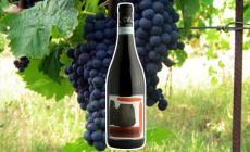 Cascina Val Liberata Cenerina 2021: un rosso naturale, al naso bosco e fiori austero al sorso