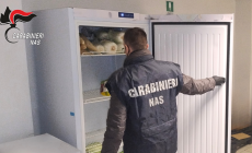 78 kg di alimenti scaduti e carenze igienico sanitarie, il Nas di Parma multa un ristorante etnico a Modena