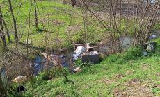 Parma nord, rifiuti in quantità e degrado - Foto