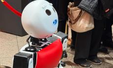 Ecco Adriano, il primo robot  dipendente della Pubblica amministrazione - Foto
