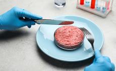 Appello degli scienziati a Coldiretti:  "Non equiparare la carne coltivata ai farmaci"