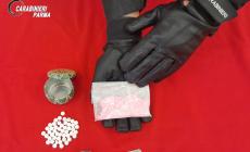 Parma, la cocaina rosa nascosta nel reggiseno. Denunciate due ragazze di 21 e 24 anni