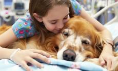 I benefici della pet therapy:  riduce stress e ansia, migliora il  ritmo cardiaco e la capacità cognitiva