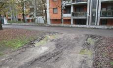 Stradelli pedonali Vernizzi, Tessoni, Nattini e Padova «violati» da furgoni e auto. Risultato: verde rovinato e vaste pozzanghere
