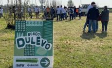 KilometroVerdeParma in Dulevo, nasce un bosco vicino all'autostrada - Foto