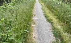 "La pista ciclabile Parma-Baganzola &egrave; ormai impraticabile: speriamo che la nuova che dovr&agrave; sorgere non sia solo un sogno"