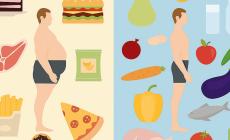 «Infiammati» dal grasso. I tanti danni dell'obesità