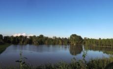 Po in crescita (allerta rossa), la piene prevista tra domani e domenica. A Sissa Trecasali evacuate le case nella golena del Po e nella foce del Taro