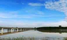 Si alza l&rsquo;allerta a Cremona per la piena del Po. La piena del Grande Fiume nel Parmense  prevista tra oggi e domani. 