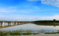 La piena del Po nel Parmense è già passata e  il Grande Fiume sta calando: restano allagate le golene, è ancora allerta rossa - Le foto