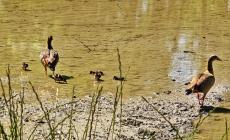 Lieto evento al Parco Ducale, la natura che sorprende 