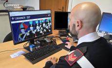Ordina un box per cavalli sul web, paga 3mila euro,  ma è una truffa. 54enne italiano denunciato dai carabinieri 