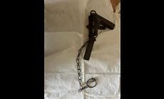 Sequestrata una tagliola di ferro  trovata vicino a un  parco di Guastalla: salvato un gatto che era rimasto intrappolato