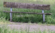 Parco Renzo Martini: erba alta fino alle ginocchia (anche nell'area per cani) -Foto e video