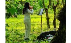 Stamattina suona un violino, nel verde del Parco Ducale