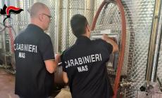 Controlli nel settore vitivinicolo: sequestri e sanzioni nella bassa modenese e in Val Tidone
