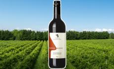 Tenuta Segattini: profilo Rosso 2021, un rosso floreale,  fruttato e dinamico.

