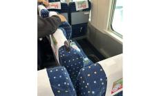 Prendere un treno in Cina: velocità impressionanti, biglietti digitali, sedili girevoli 