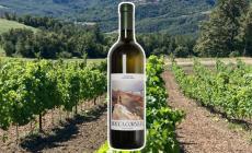 Viticoltori Alto Appennino Emiliano Rocca Corneta fermo '24. Vitigno Piwi, al naso florealee fragrante al sorso.
