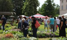 Fiori, ortaggi e frutti ad Ortocolto a Busseto