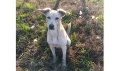 Diego ha bisogno di una famiglia