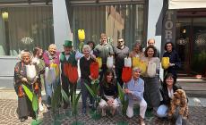 Spuntano tulipani  in borgo Angelo Mazza  