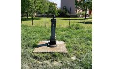 Nell'area cani del Parco Martini, erba alta buche profonde e piene d'acqua intorno la fontana- Foto