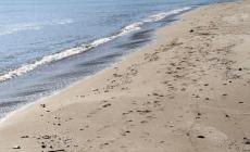 Versilia, ordinanza di divieto di balneazione alle Focette