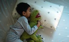 Apnee notturne,   un disturbo di  non facile  diagnosi: la prevenzione, le cure e  gli effetti da scongiurare