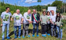 KilometroVerdeParma e Bucci Spa inaugurano un nuovo bosco a Lesignano 