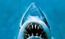 Nuotatore  per 12 giorni tra gli squali per i 50 anni del film