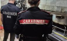 Lavoro in nero e carenze igienico sanitarie: esercente multato, sospesa l'attività in un locale a Sant'Ilario